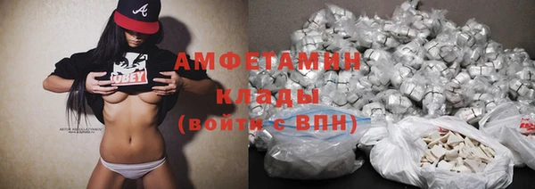 индика Балабаново