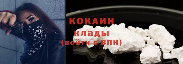 индика Балабаново