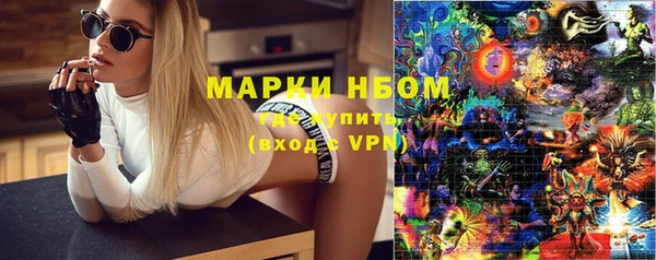 индика Балабаново
