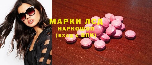 индика Балабаново