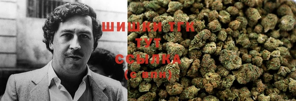индика Балабаново