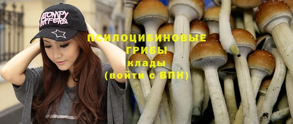 индика Балабаново